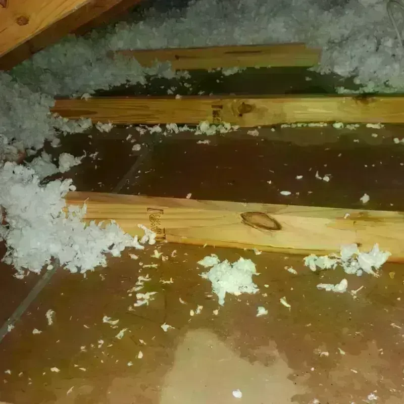 Attic Water Damage in Brock Hall, MD